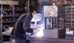 A.M.I.S. srl Torino | Azienda