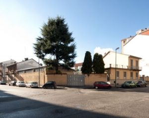 A.M.I.S. srl Torino | Azienda